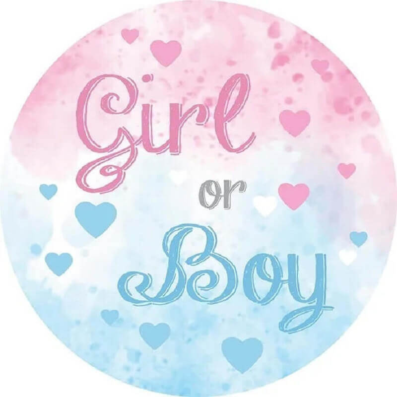 Colorful "Girl or Boy" gender reveal backdrop with soft pink and blue hues, ideal for photography and event décor.