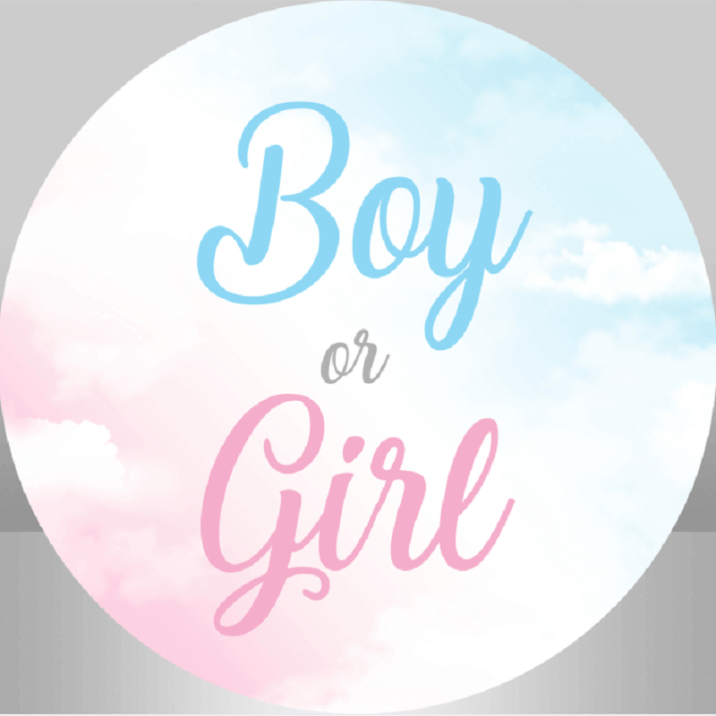 Soft pastel cloud gender reveal backdrop with "Boy or Girl?" design for gender reveal parties and photos.
