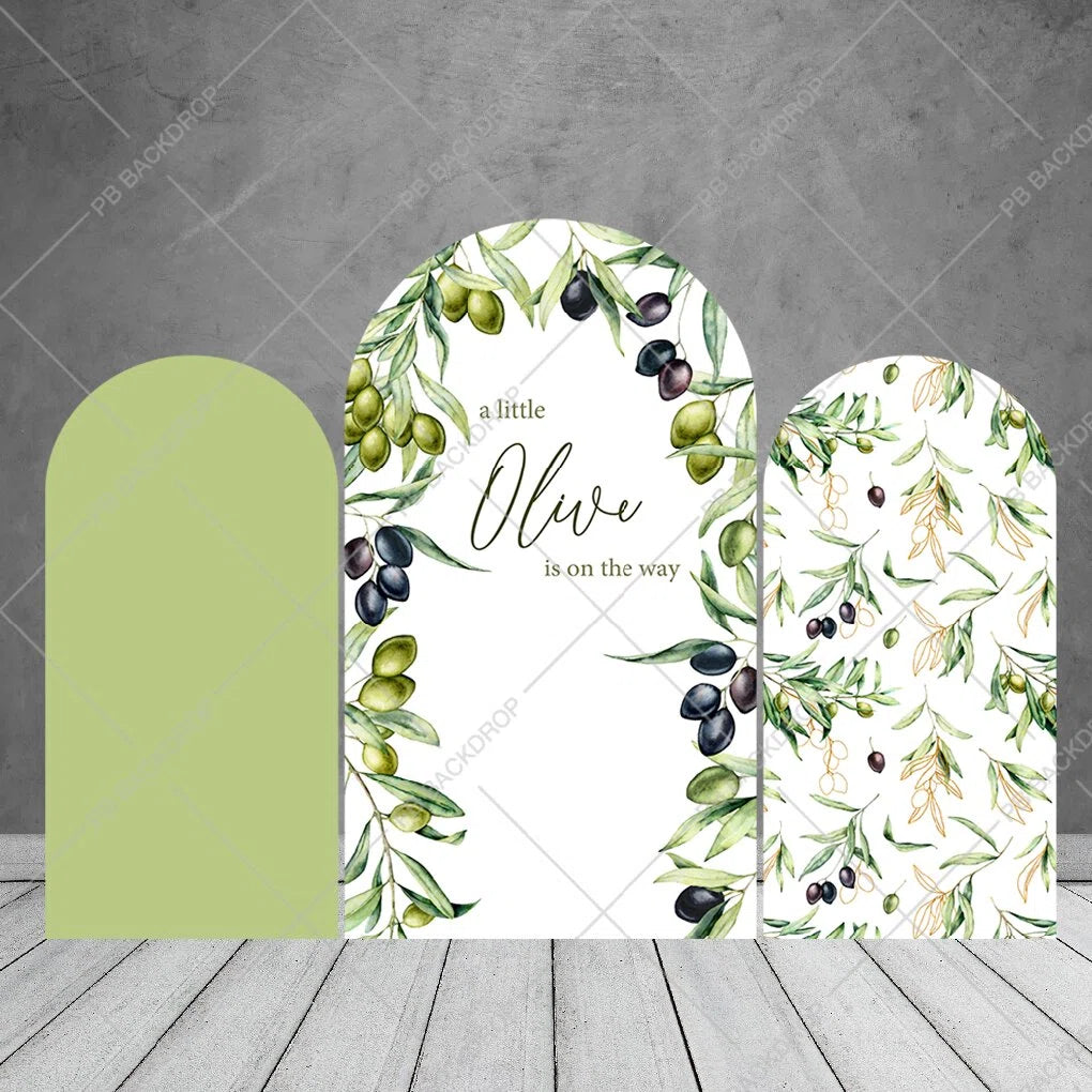 Olive Boho Baby Shower Arch Backdrop
