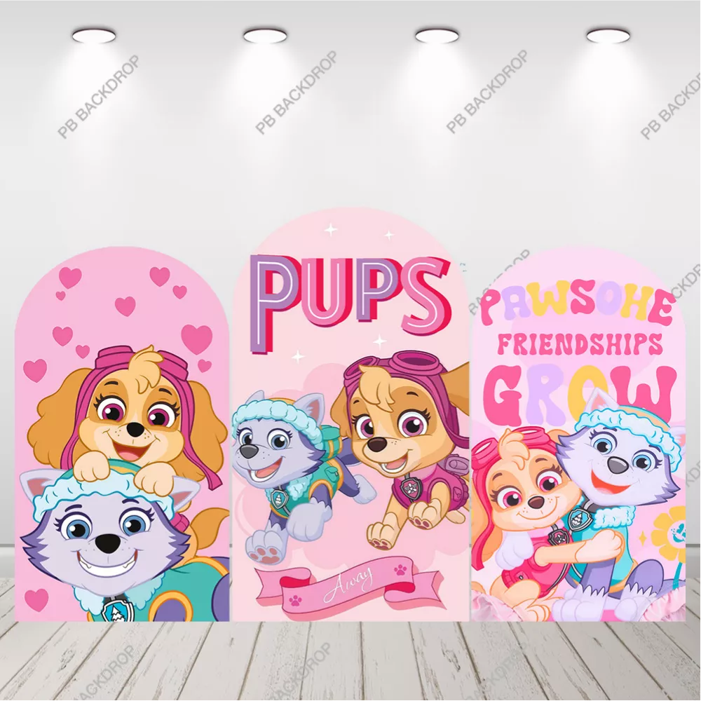 Paw Patrol Skye Everest Arch Backdrop Pink Girl Birthday Party Background