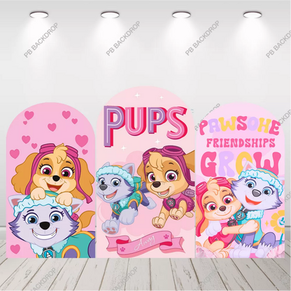 Paw Patrol Skye Everest Arch Backdrop Pink Girl Birthday Party Background