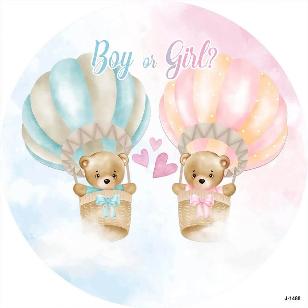 Růžový a modrý medvěd chlapec nebo dívka pohlaví odhalit kulaté pozadí party