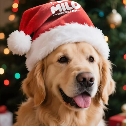 personalized-dog-santa-hat-golden-retriever
