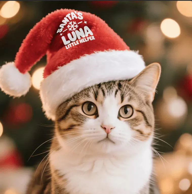 Tabby cat wearing a red personalized Santa hat with white snowflake and LUNA Little Helper artwork.